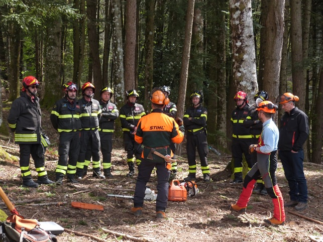 Le attività didattiche in bosco