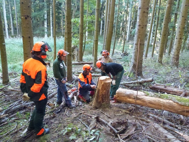 Le attività didattiche in bosco